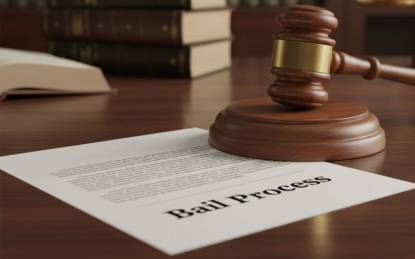 Bail Application Process in Delhi: Complete Guide 2026